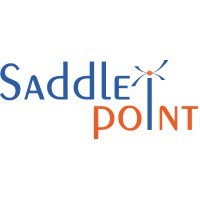 Saddle Point Inventory logo