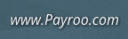 Payroo logo