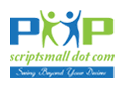 City Classified Rental Script