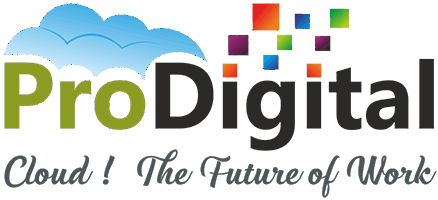 ProERP - by Google Cloud