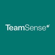 TeamSense