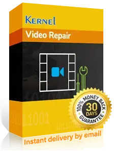 Kernel Video Repair