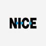 NICE EEM