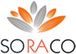 Quick License Manager (QLM) logo