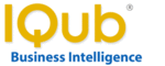 IQub BI logo