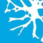Brainspace Augmented Intelligence