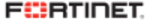 FortiClient