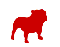 BullGuard