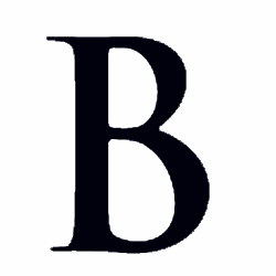 Banibro ERP