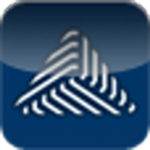 CheckMate Asset logo