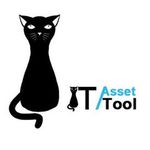 IT Asset